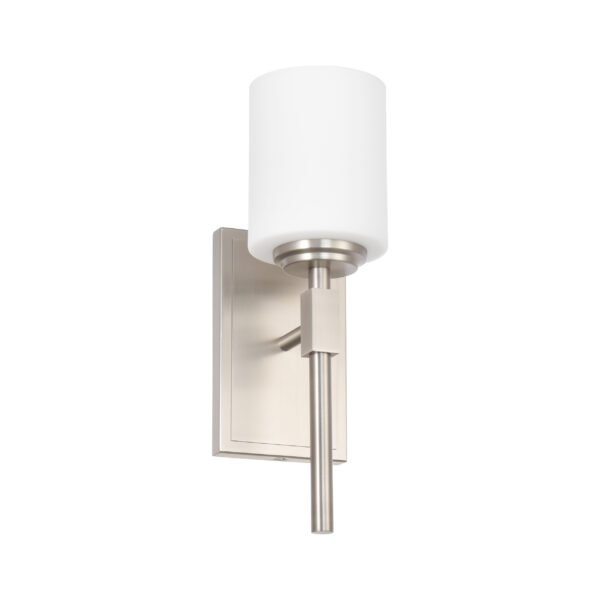 1-Light Stylish Wall Sconce